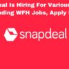 Snapdeal Is Hiring For Various Roles Including WFH Jobs, Apply Here