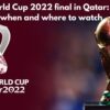 FIFA World Cup 2022 final in Qatar: Here’s when and where to watch